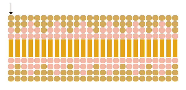 Esquema Pulsera rosa tejida Miyuki 15/0 y Bugles